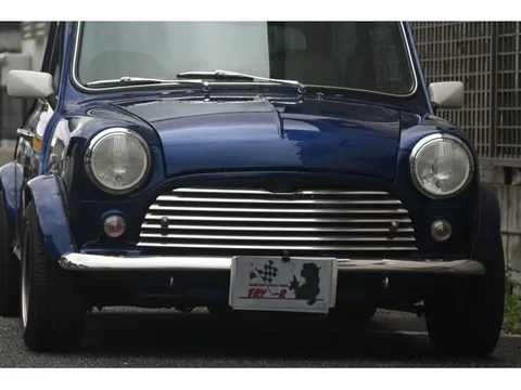 Rover Mini