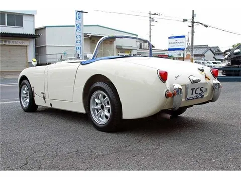 Austin Healey