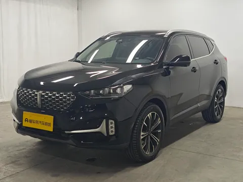Wey VV6