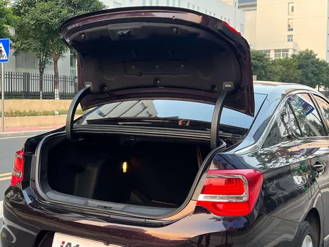 DS 5LS