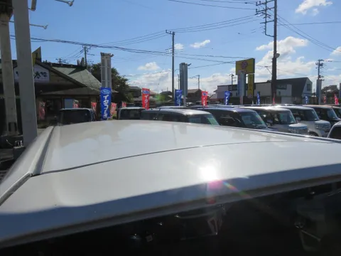 Toyota Pixis Mega