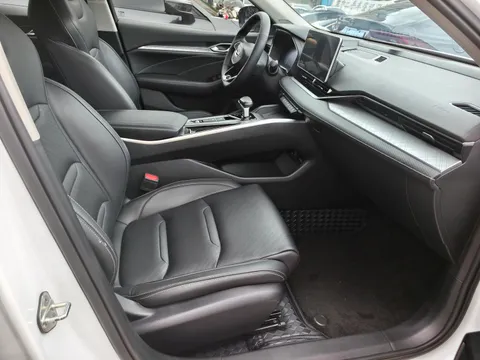 Geely Preface (Xingrui)