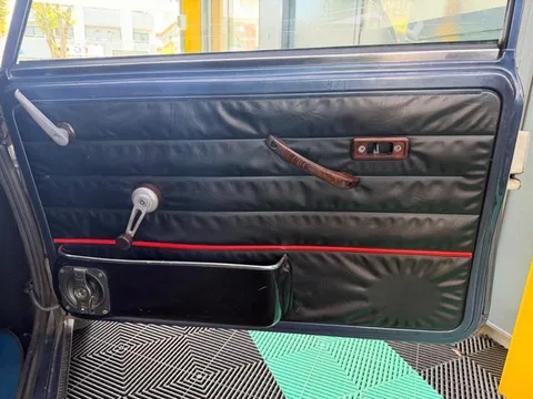 Rover Mini