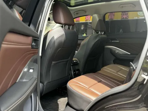 Wey VV6