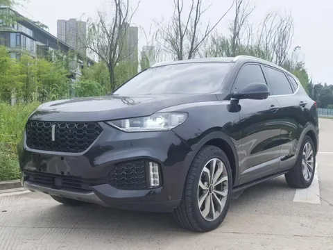 Wey VV6