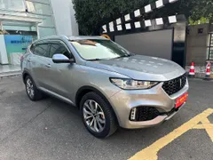 Wey VV6