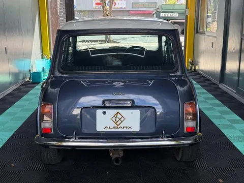 Rover Mini