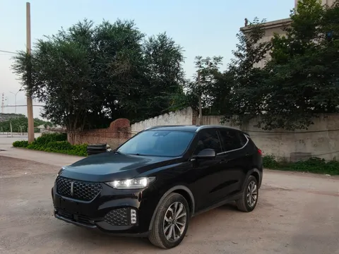 Wey VV6