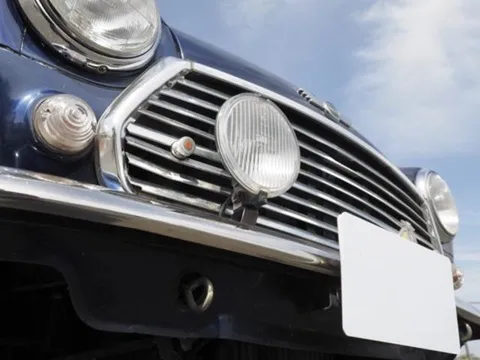 Rover Mini