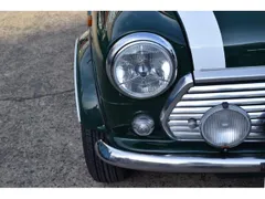 Rover Mini