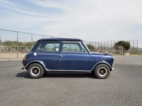 Rover Mini