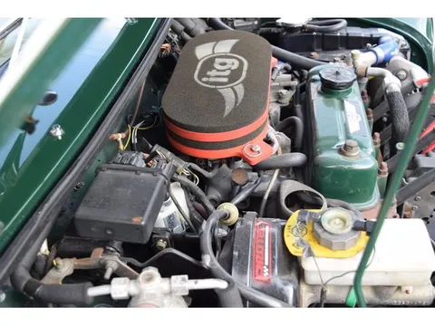 Rover Mini