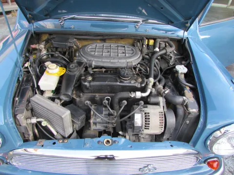 Rover Mini
