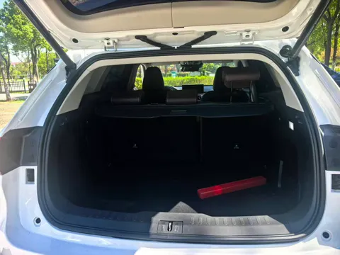 Wey VV6
