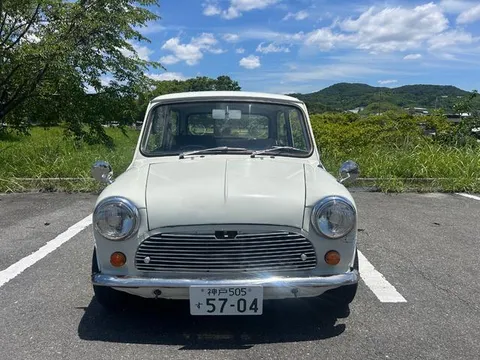 Rover Mini