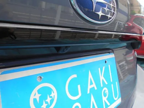 Subaru Levorg Layback