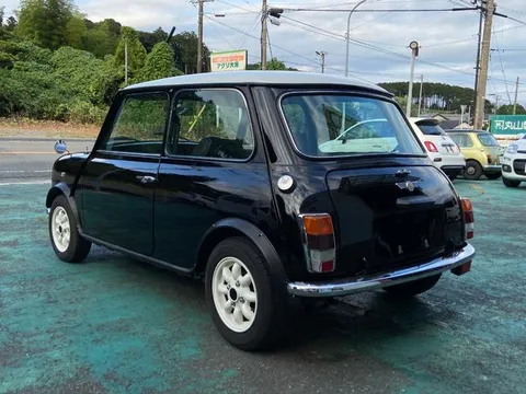 Rover Mini