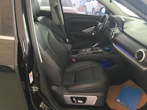 Wey VV6