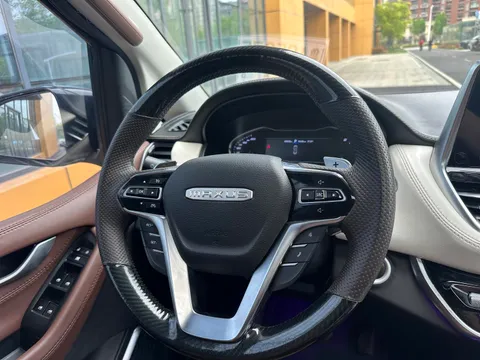 Maxus G20