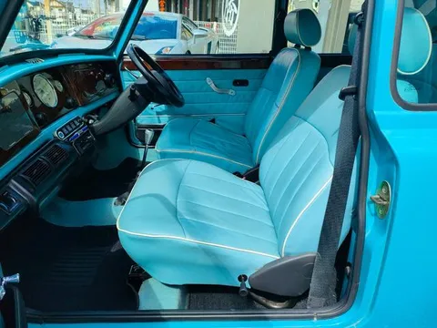 Rover Mini