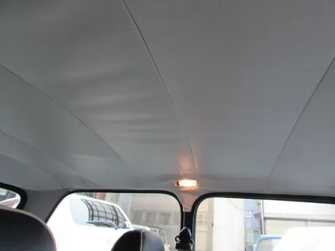 Rover Mini