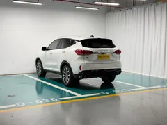 Wey VV6