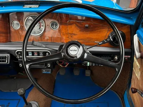 Rover Mini
