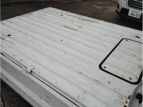Nissan Clipper Truck