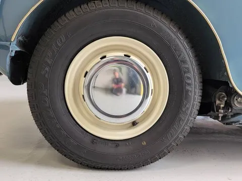 Rover Mini