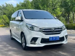 Maxus G10
