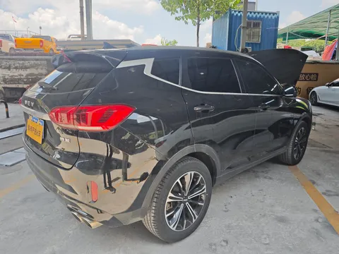 Wey VV6