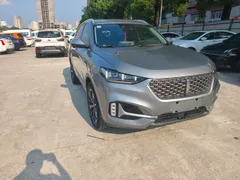 Wey VV6