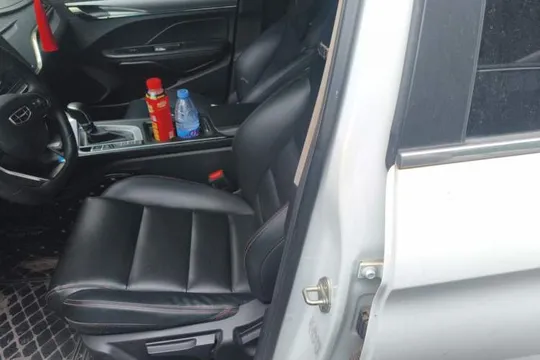 Geely Binray