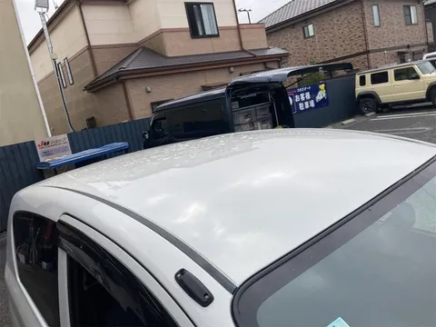 Subaru Pleo