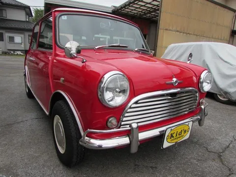 Rover Mini