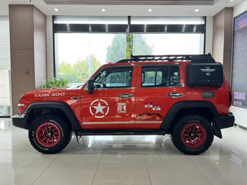 Tank 300