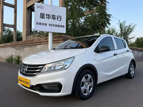 Baojun 310