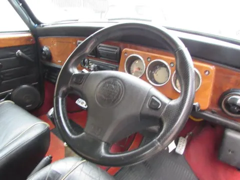 Rover Mini