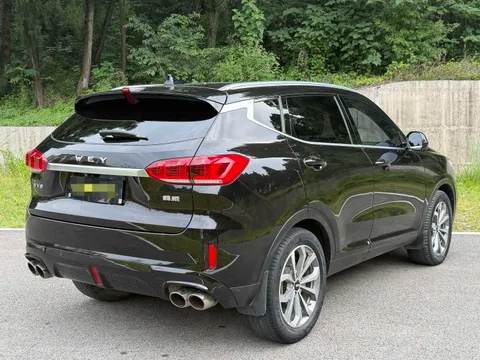 Wey VV6