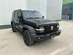 Tank 300