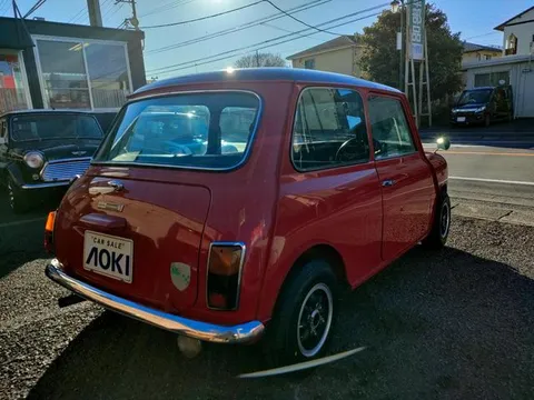 Rover Mini