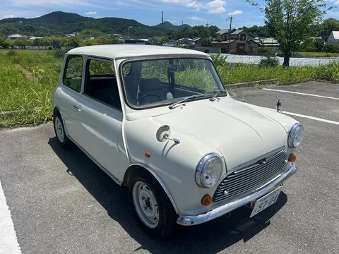 Rover Mini