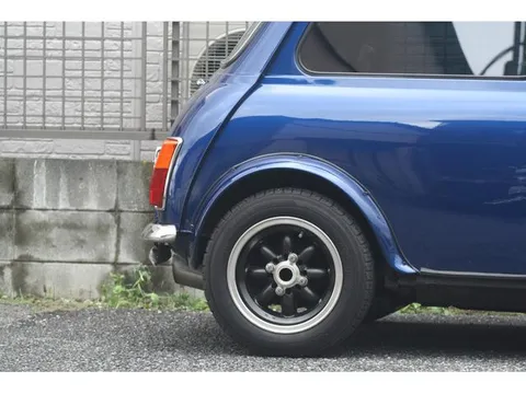 Rover Mini