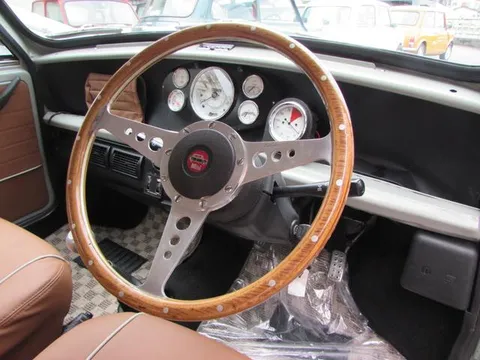 Rover Mini