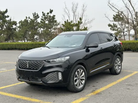 Wey VV6