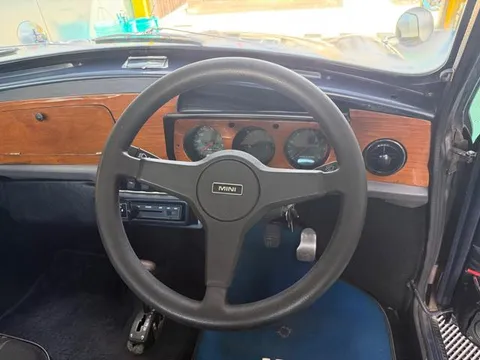 Rover Mini