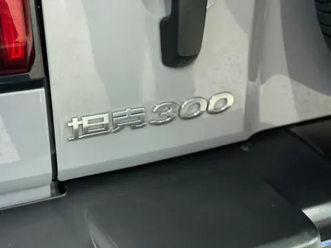 Tank 300