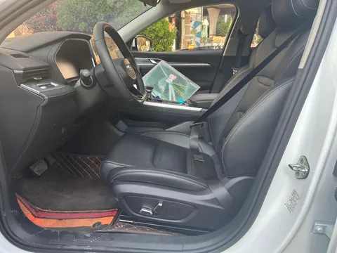 Geely Preface (Xingrui)