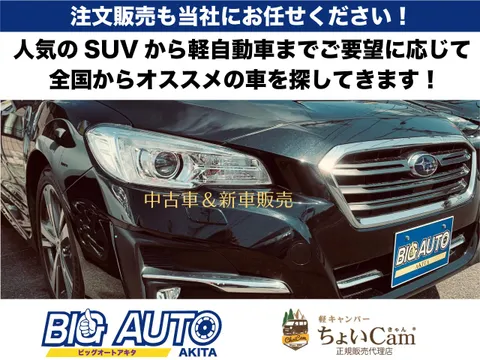 Nissan Clipper Rio