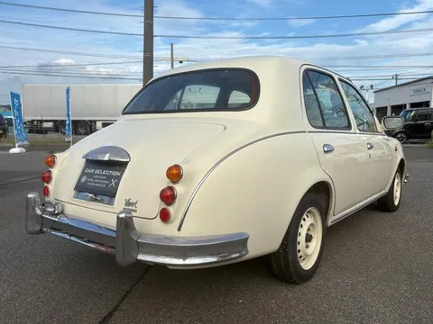 Mitsuoka Viewt